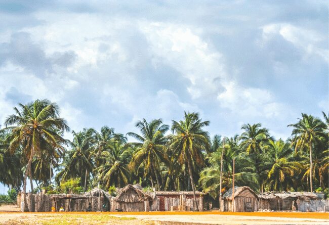 Réforme des métiers de tourisme au Bénin