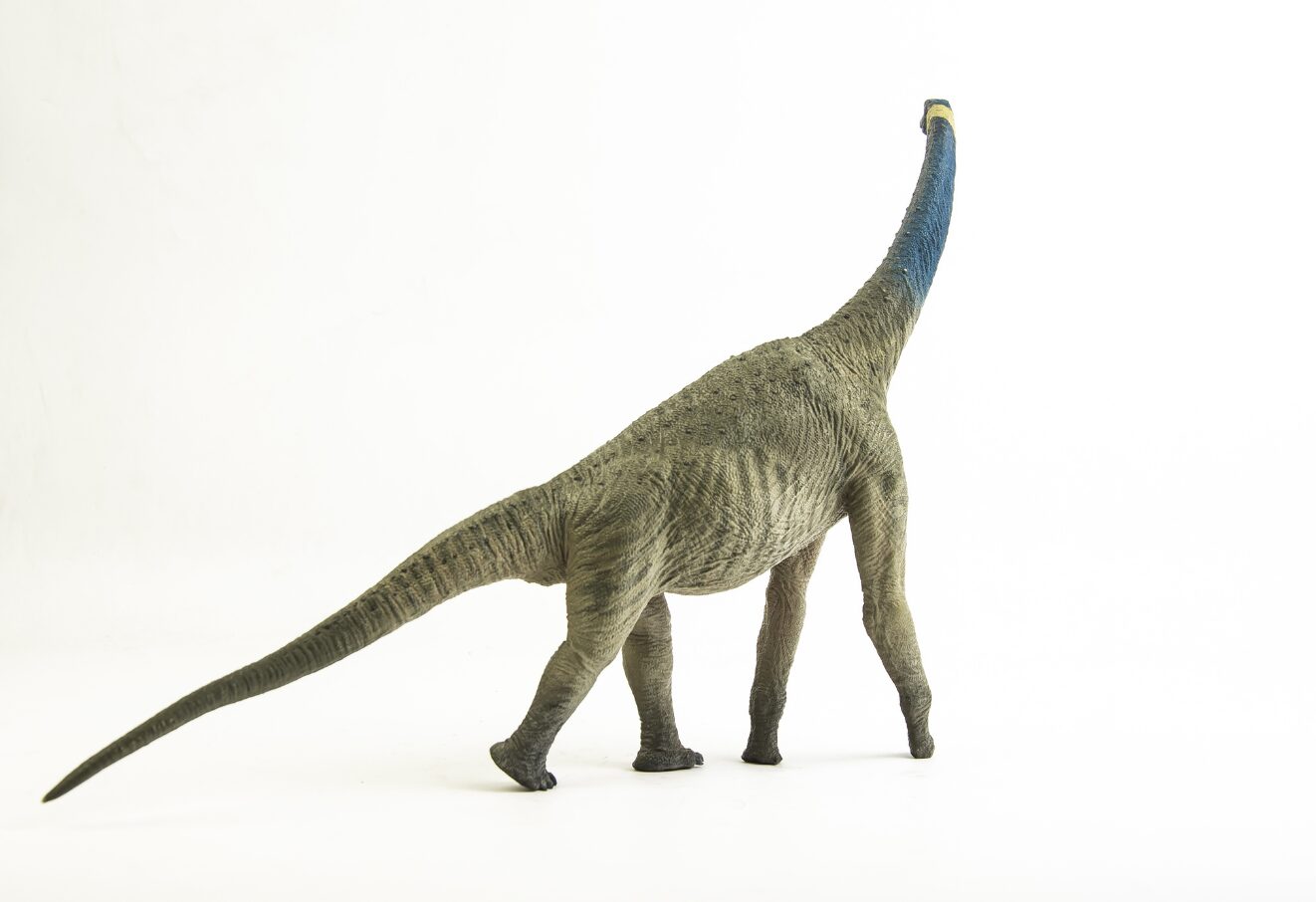 Atlasaurus
